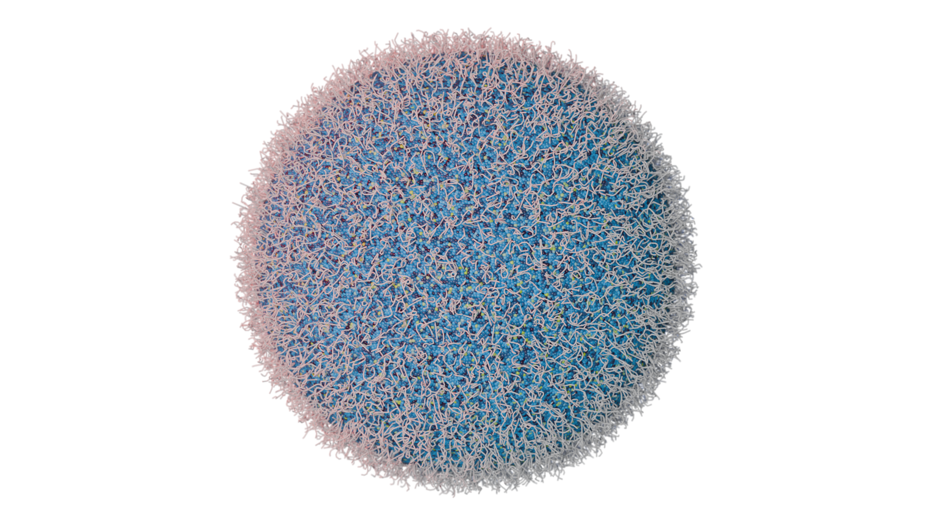 Illustration of a lipid nanoparticle (LNP) showing its surface components
